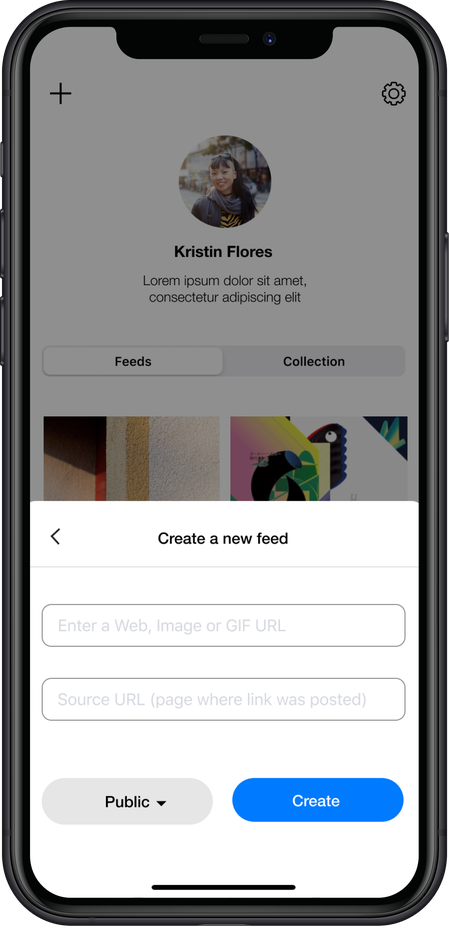 Framed* create-a-new-feed screen with public or private options.